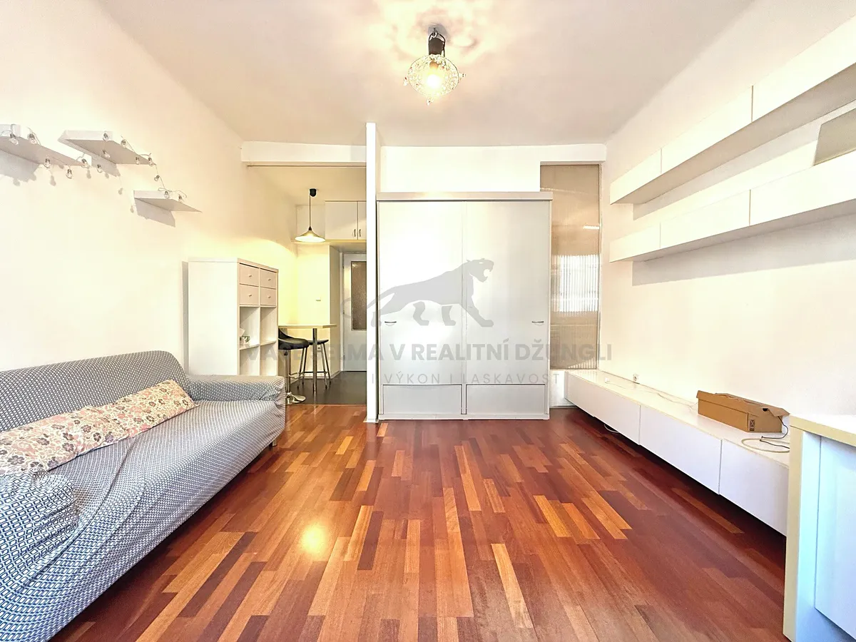 Pronájem bytu 1+kk 32 m²